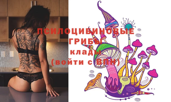 стафф Белокуриха